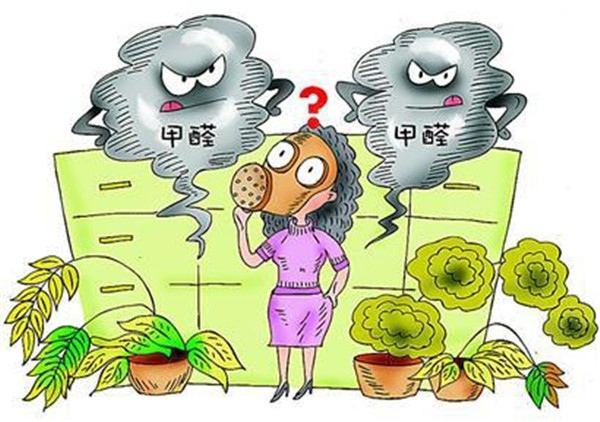 不知道除甲醛多少錢一平米？你就等著被坑吧！